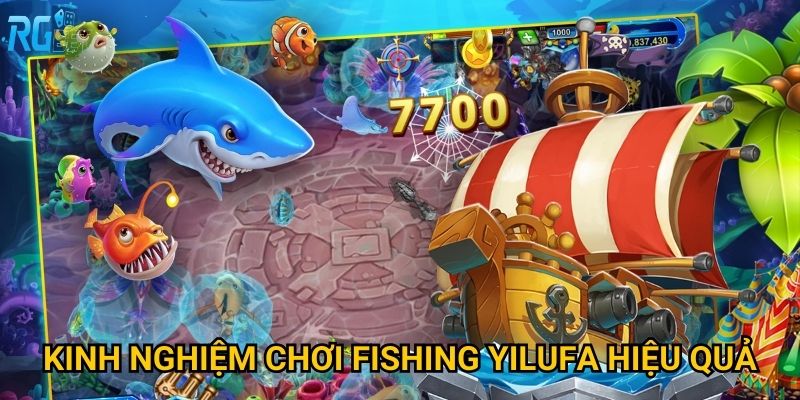 Kinh nghiệm chơi Fishing Yilufa hiệu quả